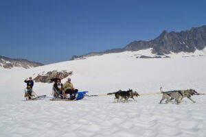 DSC_9136 | Alaska Icefield Expeditions Photo Service